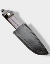 Custom Handmade Carbon Steel Resident Evil Bio Hazard Hunting Bowie Knife